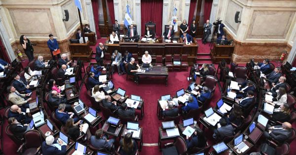 Reforma electoral: el Senado retoma el debate sin votos para las PASO
