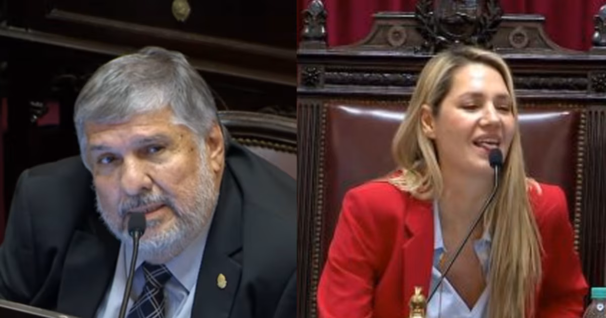 “No hable con malas palabras”: el tenso cruce de Mayans con Losada tras llamar “boludo” a Tutankamón en el Senado