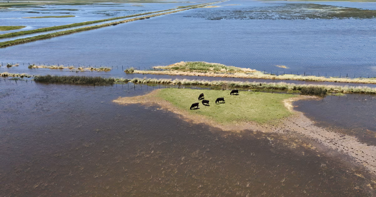 Súper Niño: proponen usar fondos viales rurales para atender obras hídricas ante el riesgo de inundaciones y crecidas