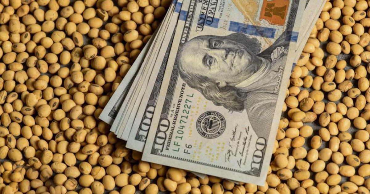 El campo acelera: récords de exportaciones, más molienda y USD 19.000 millones de liquidación en lo que va del año