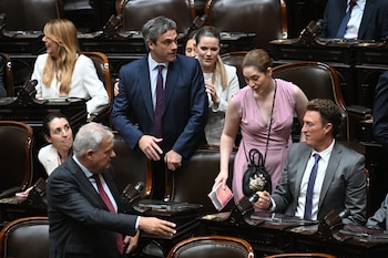 “No cumple con los criterios mínimos de razonabilidad y transparencia”: diputados de UP se quejaron ante el FMI por Presupuesto 2007