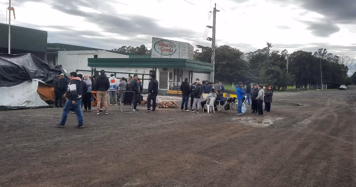 Tristeza colectiva, ollas populares y éxodo de familias: 700 despidos en Granja Tres Arroyos conmocionan a un pueblo bonaerense