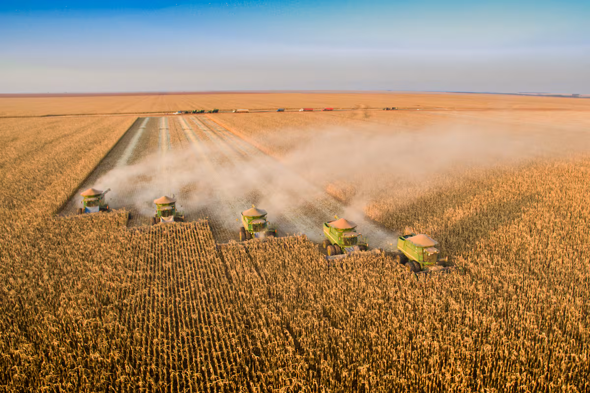 De 15 a 169 millones de toneladas: cómo Brasil transformó su agricultura en cuatro décadas y dónde quedó la Argentina