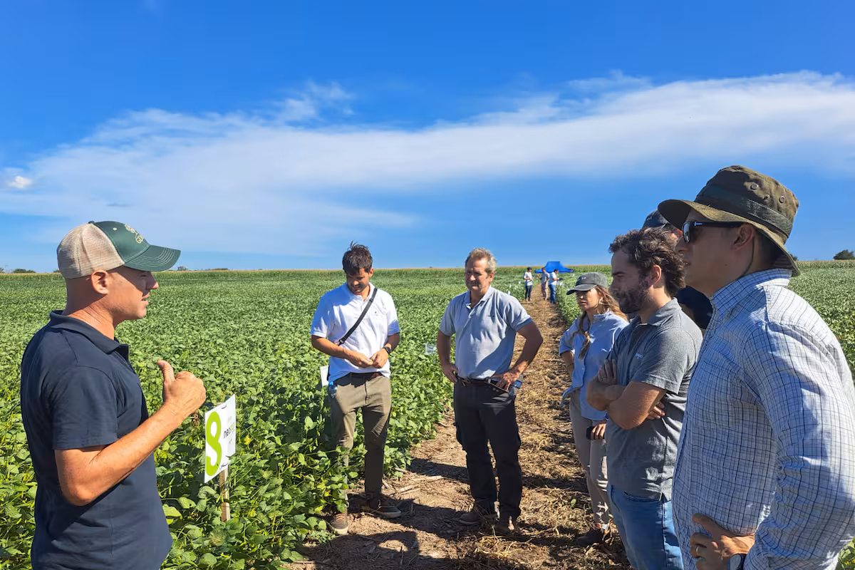 Soja: estiman que existe una brecha productiva del 34% y ponen el foco en el manejo dentro de cada lote