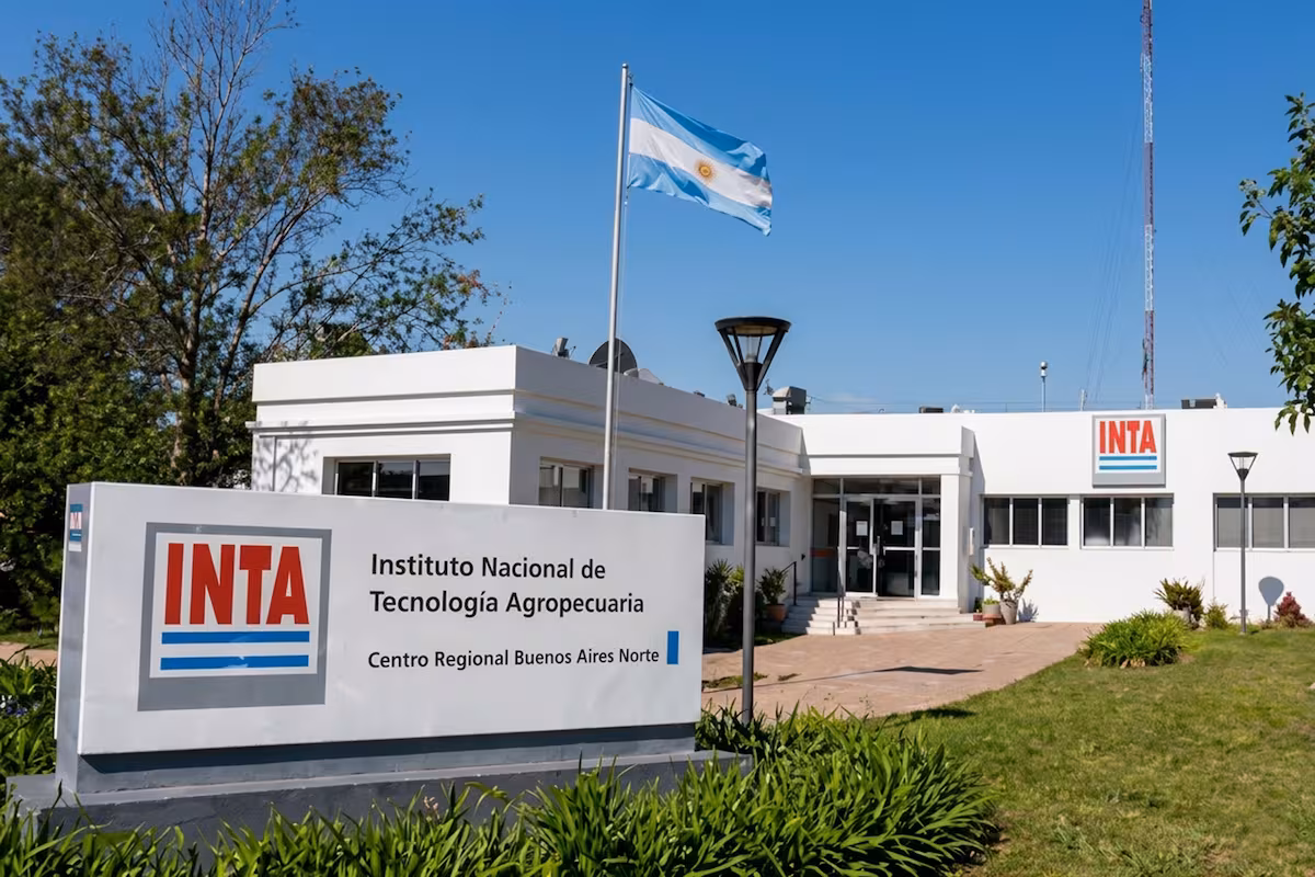 Motosierra en el INTA: el Gobierno proyecta un recorte millonario en el presupuesto para 2027 y retira una fuente de financiamiento