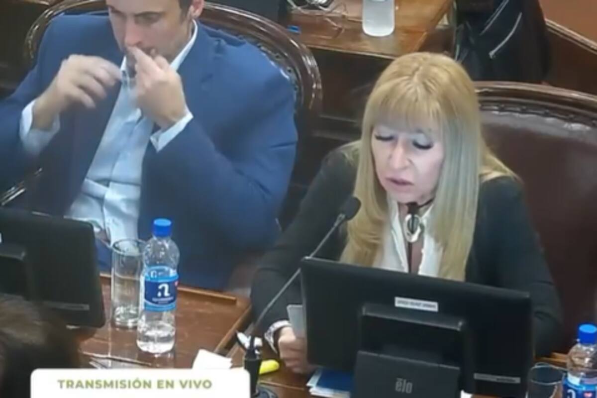"Es una birome". Un diputado de Entre Ríos desmintió haberse drogado en plena sesión