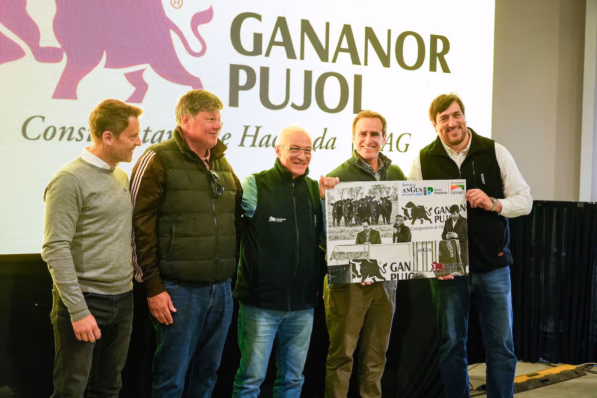 Semana Angus: precios de hasta $8500 en importantes remates ganaderos