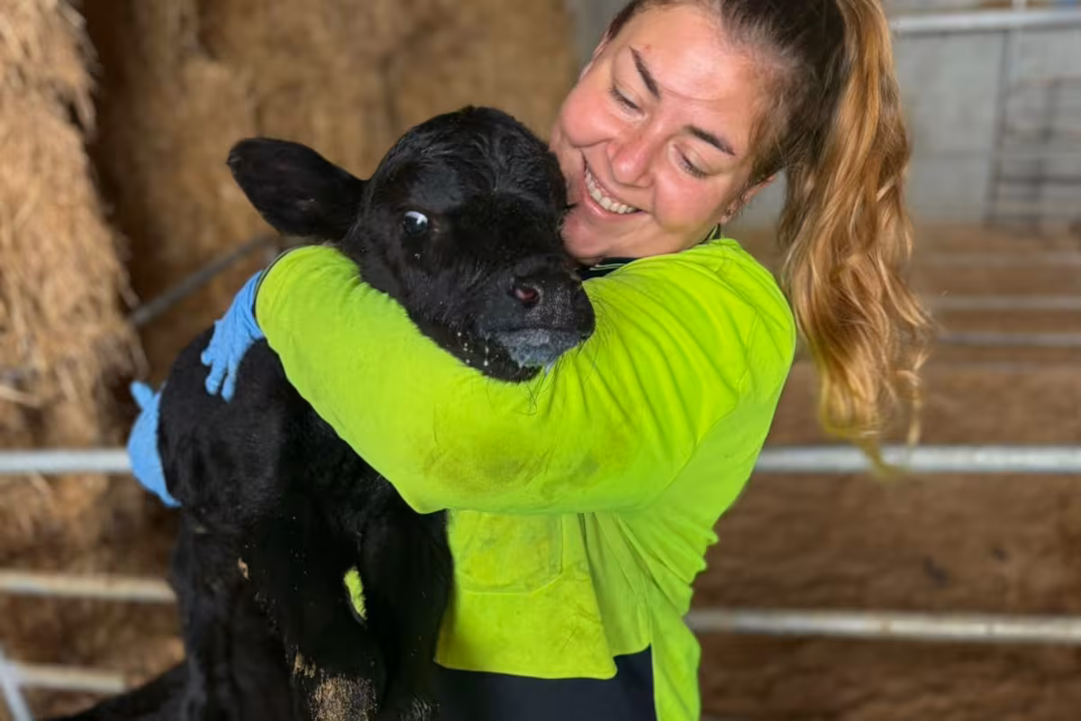 “No sabía distinguir un pollo”: la santafesina que pasó de atender un kiosco a ordeñar 700 vacas en Australia