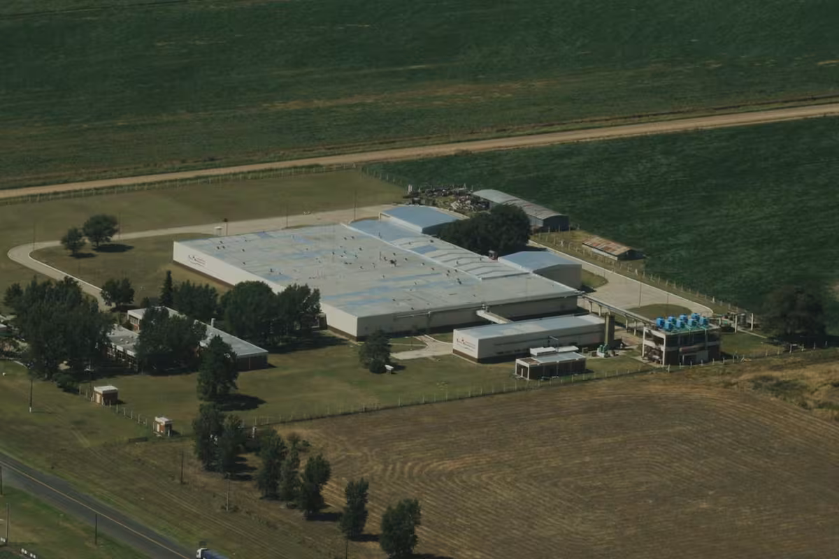 Gigante concursado: Granja Tres Arroyos declaró un pasivo de $536.000 millones y más de $126.000 millones en cheques rechazados