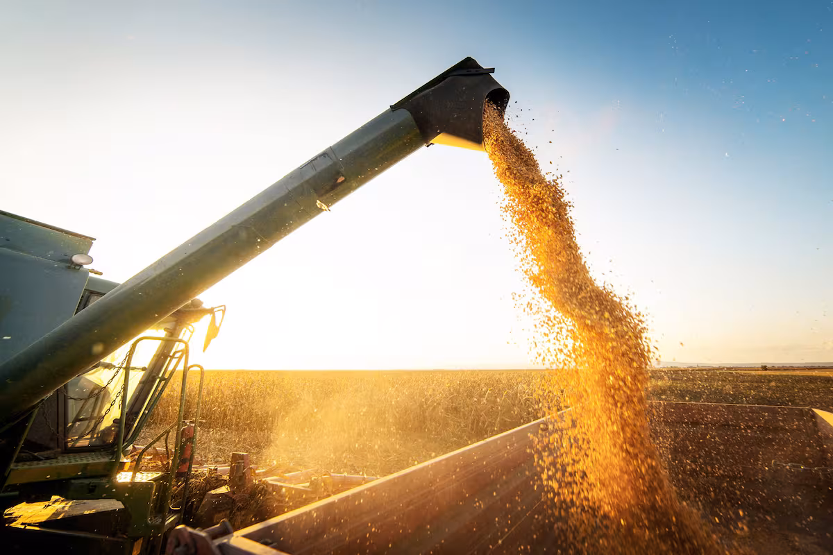 “Una sorpresa para todos”: en el agro alertan que una nueva regulación de la CNV puede sumar un costo de hasta un 2%