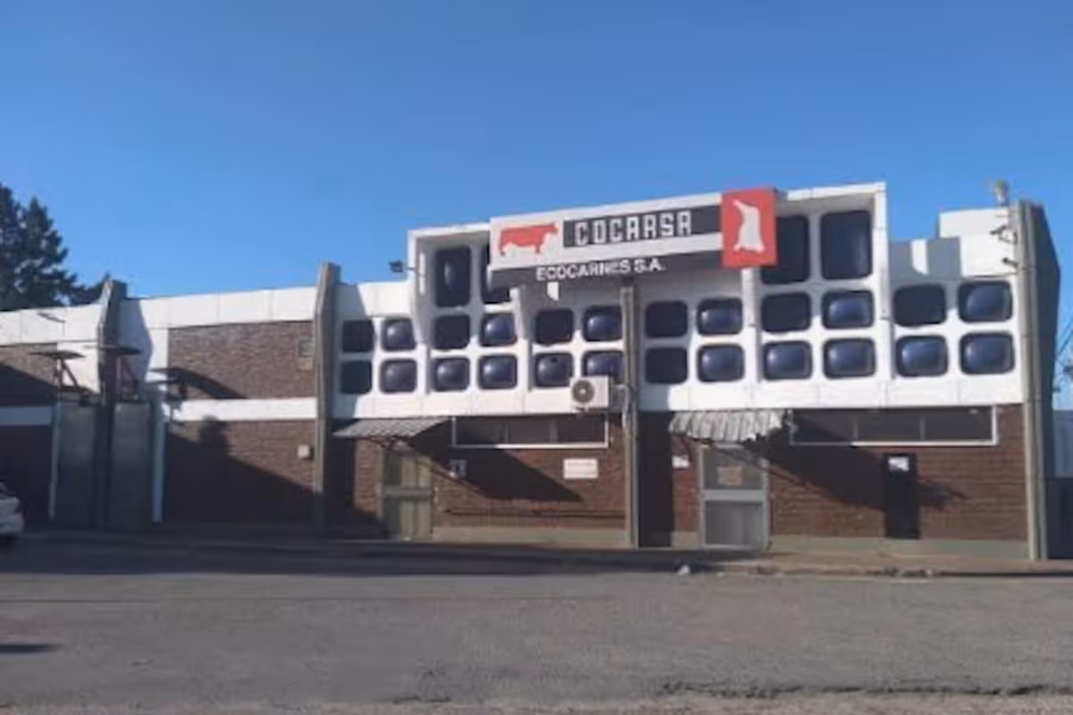 Crisis en la industria cárnica: un frigorífico acumula 232 cheques rechazados por $6000 millones y trabaja al 30% de su capacidad