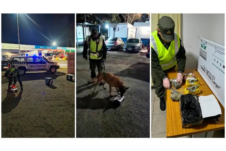 Hallaron marihuana oculta en paquetes de yerba mate al escanear una encomienda