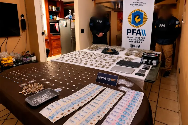 Detuvieron a un joven que vendía drogas sintéticas y hongos alucinógenos por redes sociales