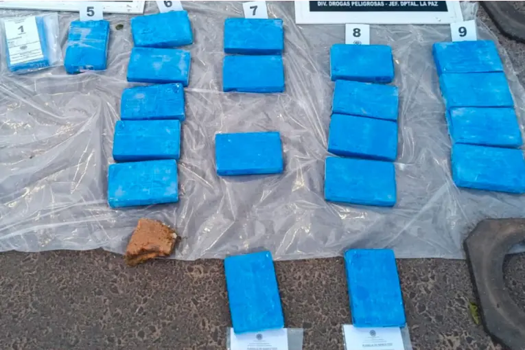 Secuestraron más de 20 kilos de cocaína que intentaban ingresar a Entre Ríos: cinco detenidos