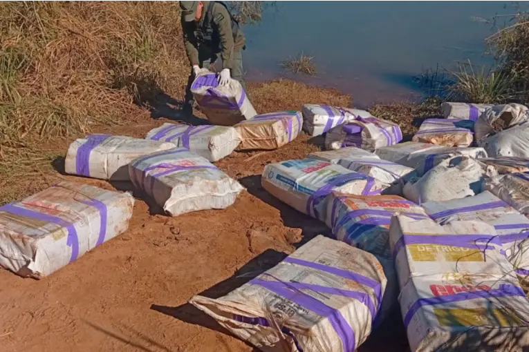 Hallaron más de 800 kilos de marihuana ocultos entre la vegetación a orillas del río Paraná