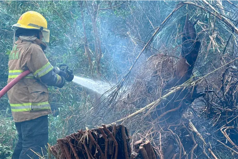 Un cañaveral se incendió en Paraná y el fuego amenazó las instalaciones de un centro de diagnóstico por imagen
