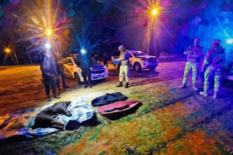 Federal: secuestraron dos fusiles y decomisaron un jabalí en un operativo contra la caza furtiva
