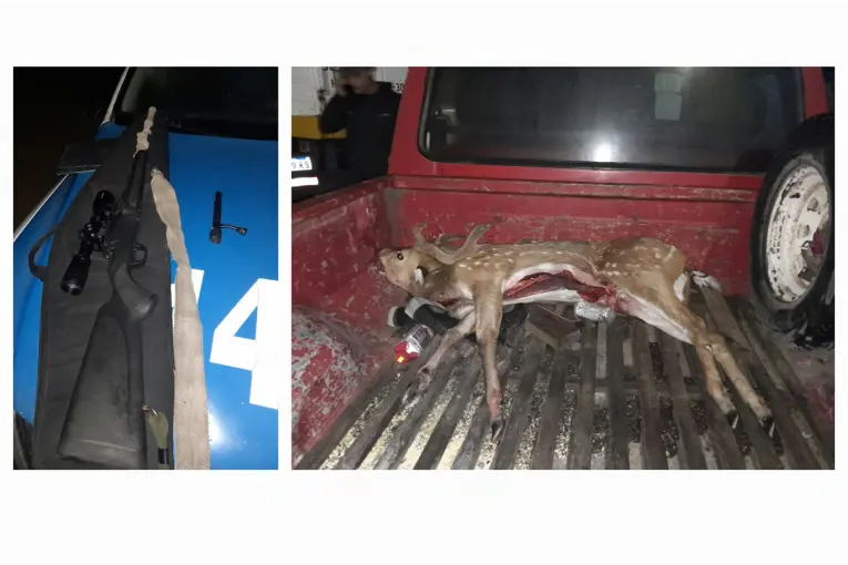 Cinco hombres fueron sorprendidos con tres ciervos axis abatidos y armas