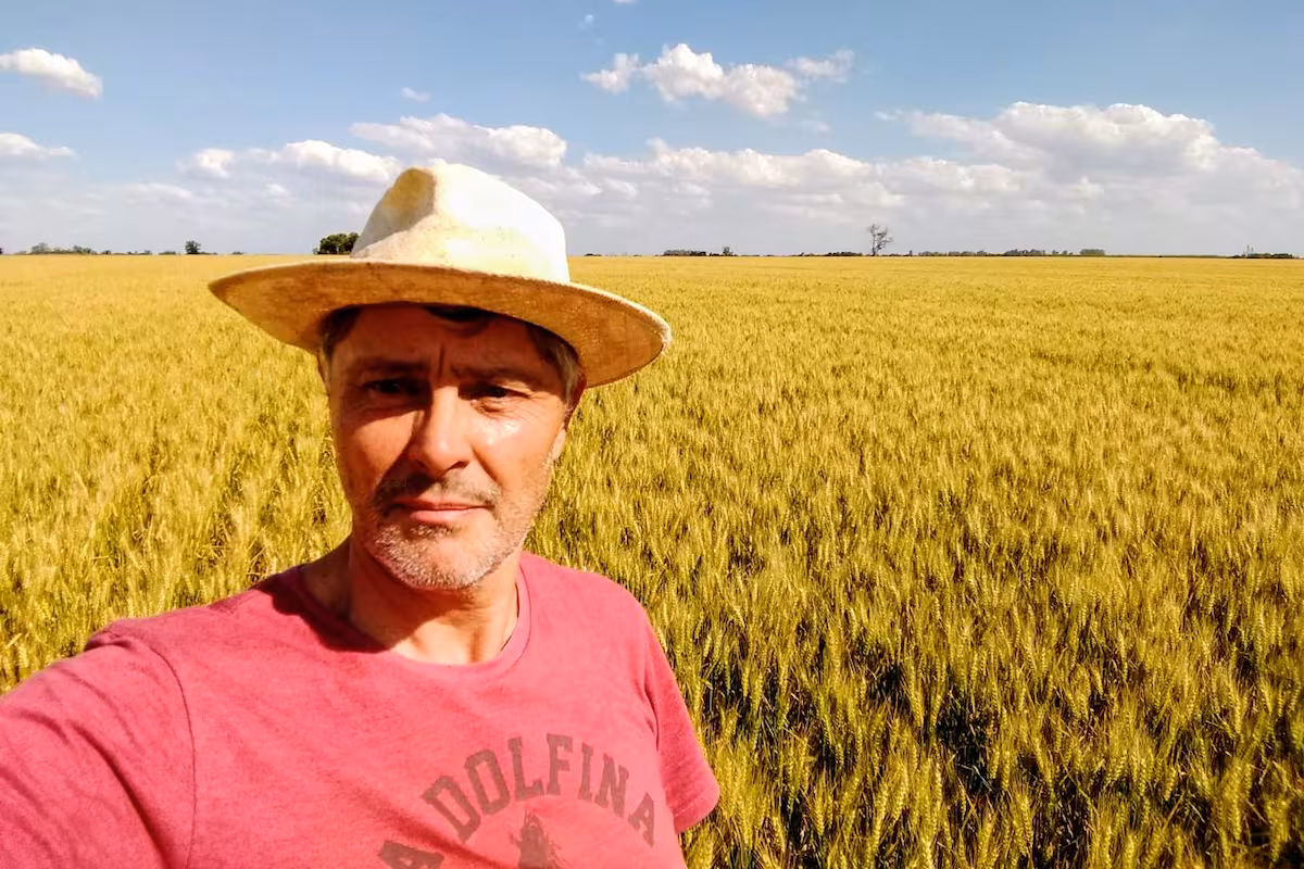“David contra Goliat”: un productor abrió una batalla judicial porque Milei no eliminó las retenciones y llevó su reclamo hasta la Corte