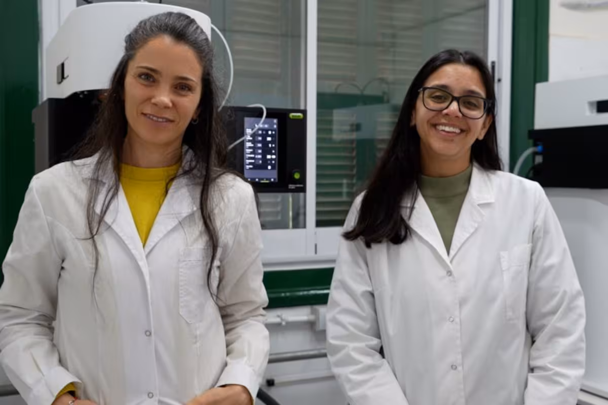 Del panal al laboratorio: dos científicas de Córdoba pueden ser pioneras en una tecnología para obtener miel en polvo