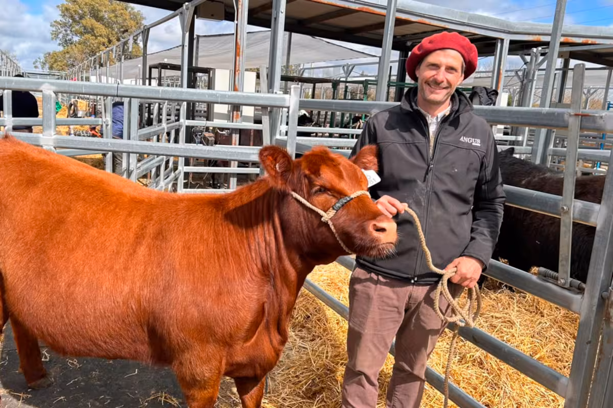 “Es fabuloso”: el buen momento para el negocio de las vacas destapó una ola de inversiones
