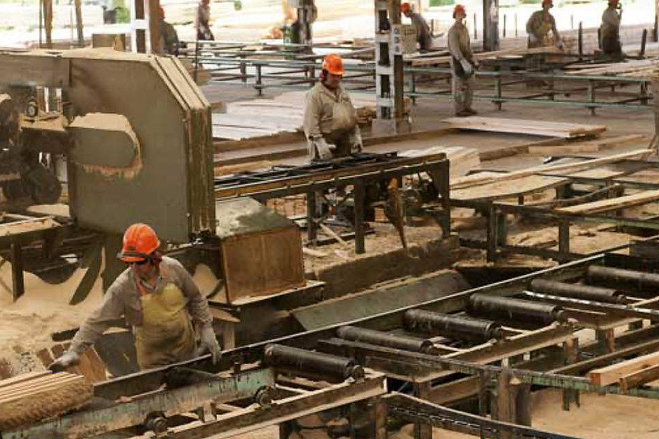 Industria, federalismo y desarrollo: el desafío de pensar la Argentina desde las economías regionales