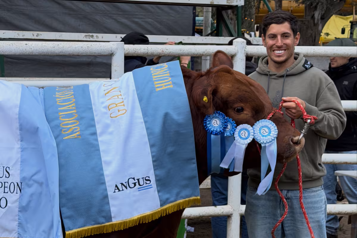 Nicolás Cavigliasso, campeón del Dakar, logró el Gran Campeón Macho Angus: “Tengo dos pasiones”