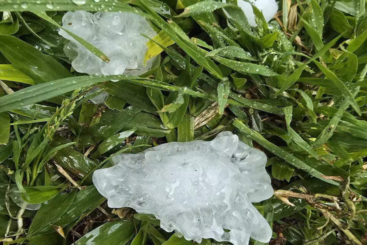 Cayó una fuerte granizada en varias localidades del norte bonaerense