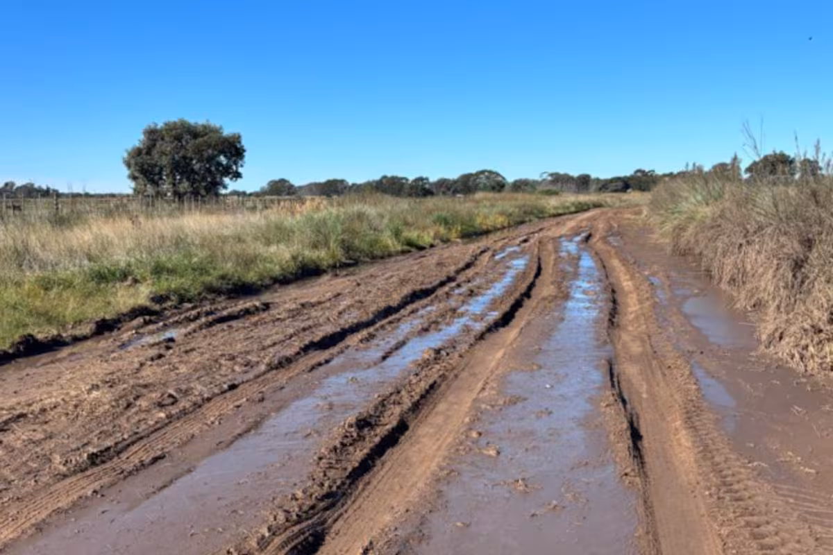Caminos rurales: afirman que un municipio bonaerense gastó $70 millones en la Fiesta de la Galleta de Piso y no invirtió en obras hídricas