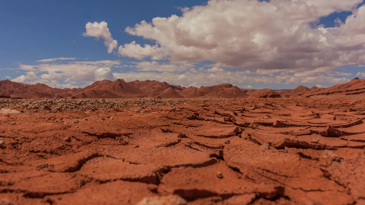 Alerta ambiental: el 40% de la superficie terrestre podría ser árida para 2100