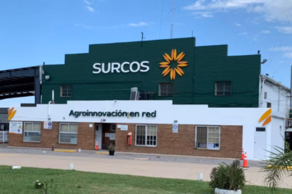 En concurso: una empresa del agro consiguió una prórroga para presentar una propuesta a sus acreedores y hoy factura unos US$20 millones