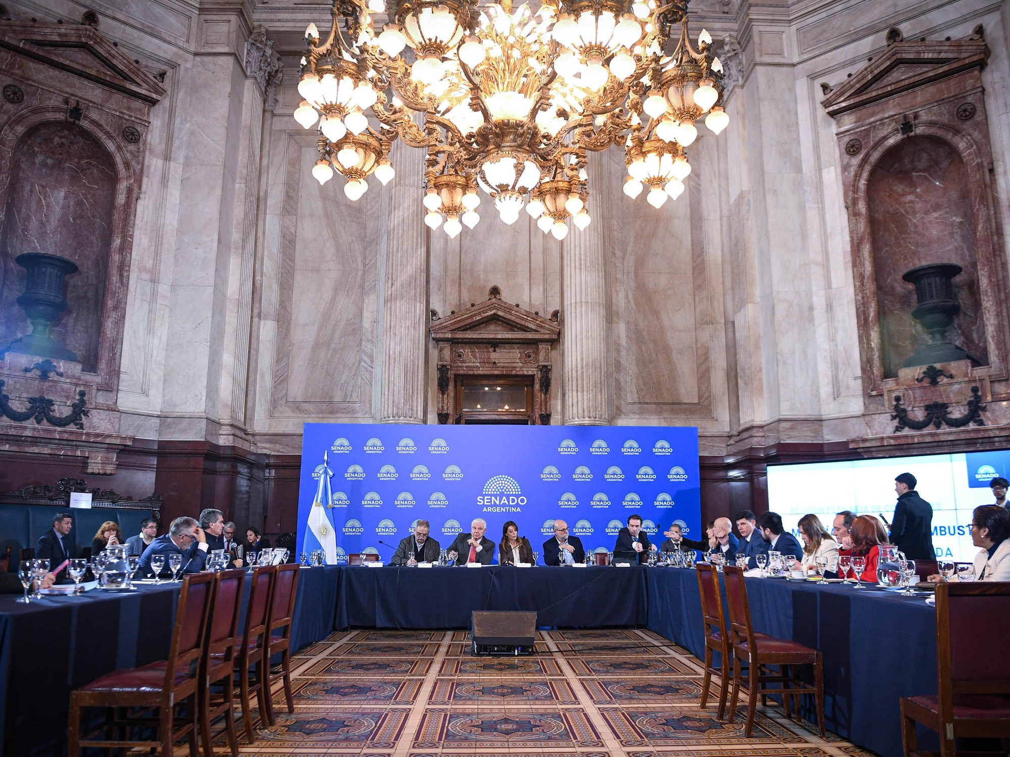 Tras los cambios en el proyecto oficial, hubo dictamen para el nuevo marco regulatorio de la ley de Biocombustibles