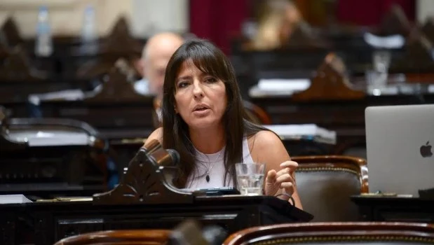 Presupuesto 2027: la UCR reclama partidas por discapacidad