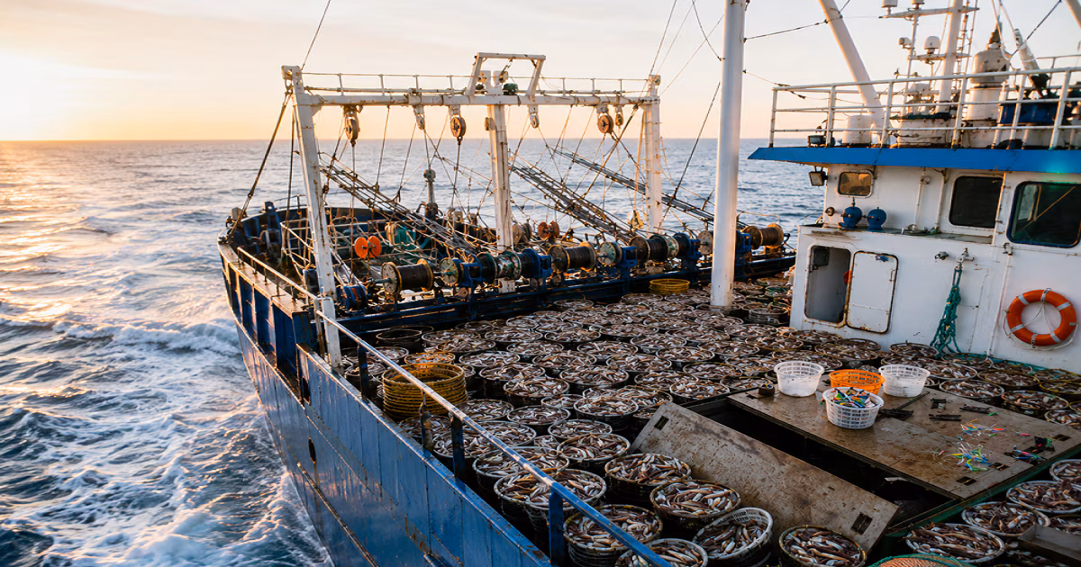 Denuncian un bajo control de la pesca en el Mar Argentino, mientras Malvinas y China participan de un acuerdo sobre una especie clave