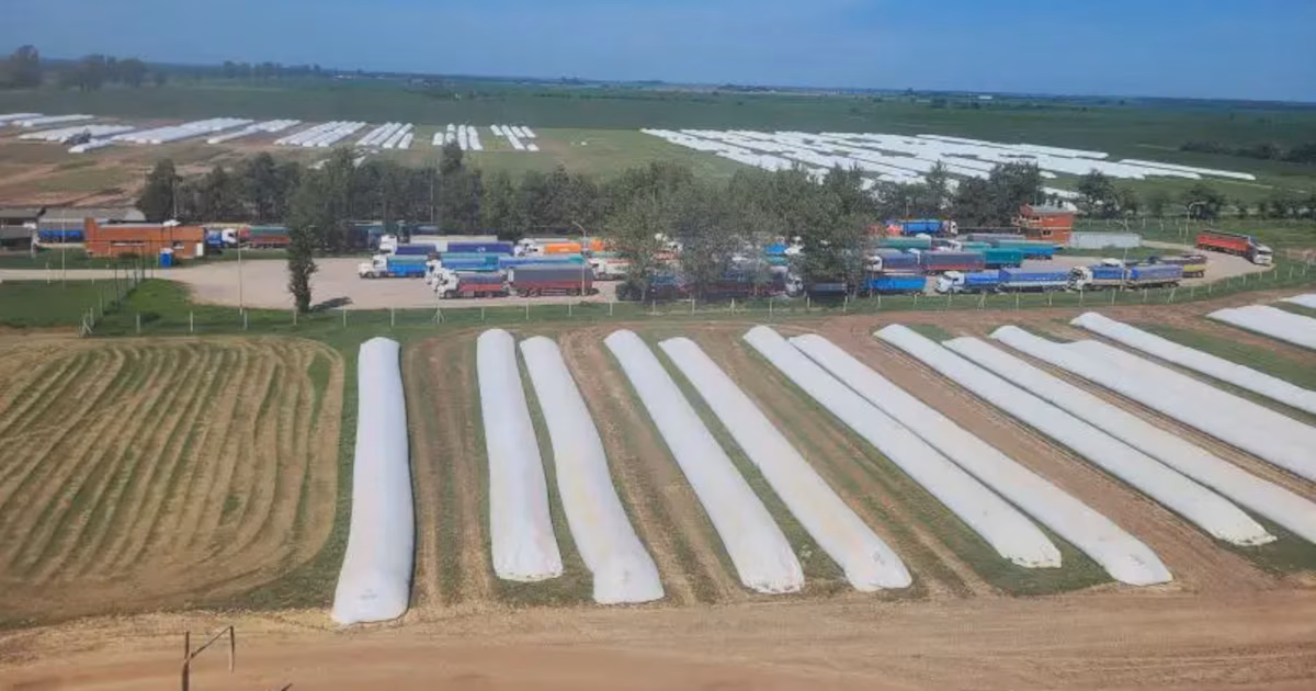 Vandalismo rural: qué dice el proyecto de ley que obtuvo dictamen de comisión y por qué lo cuestiona la oposición