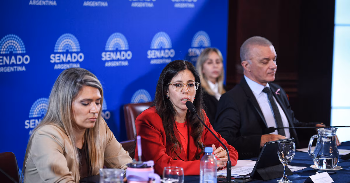 Senado: se demoran las firmas para dictaminar la ley de salud mental y hay disidencias de los aliados
