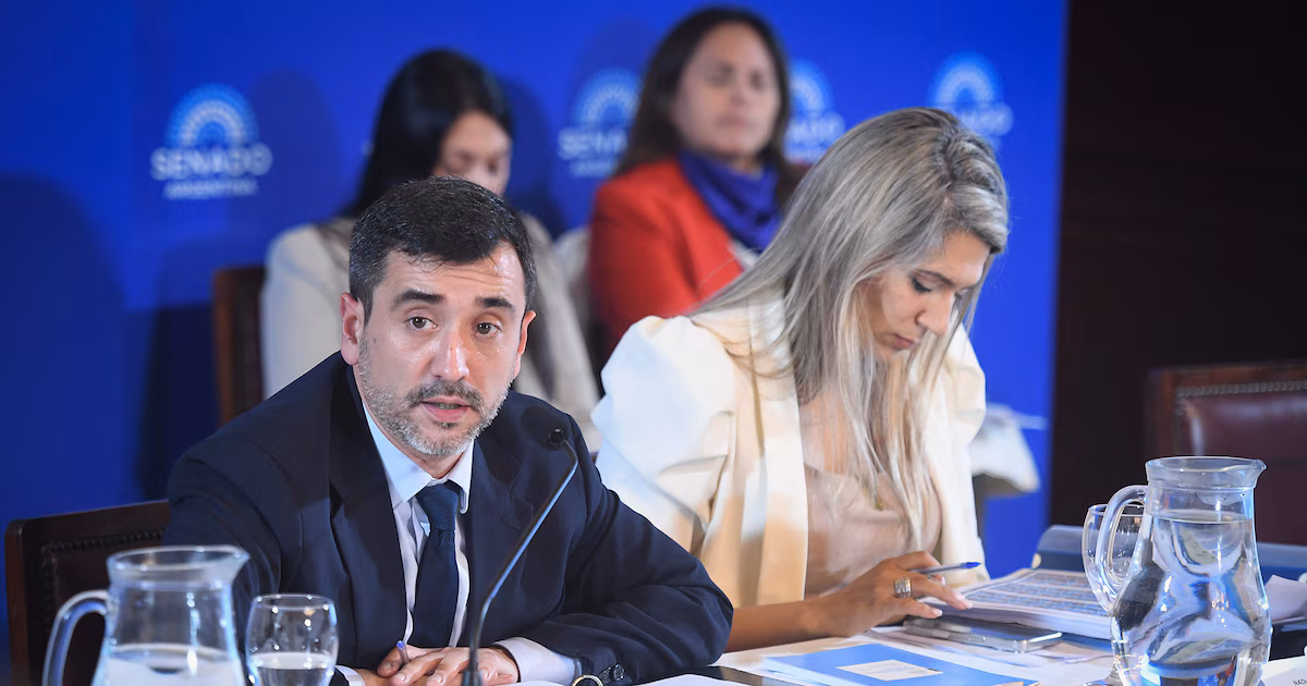 Propiedad privada: se demora en el Senado el dictamen que incluye límites a la venta de tierra a extranjeros