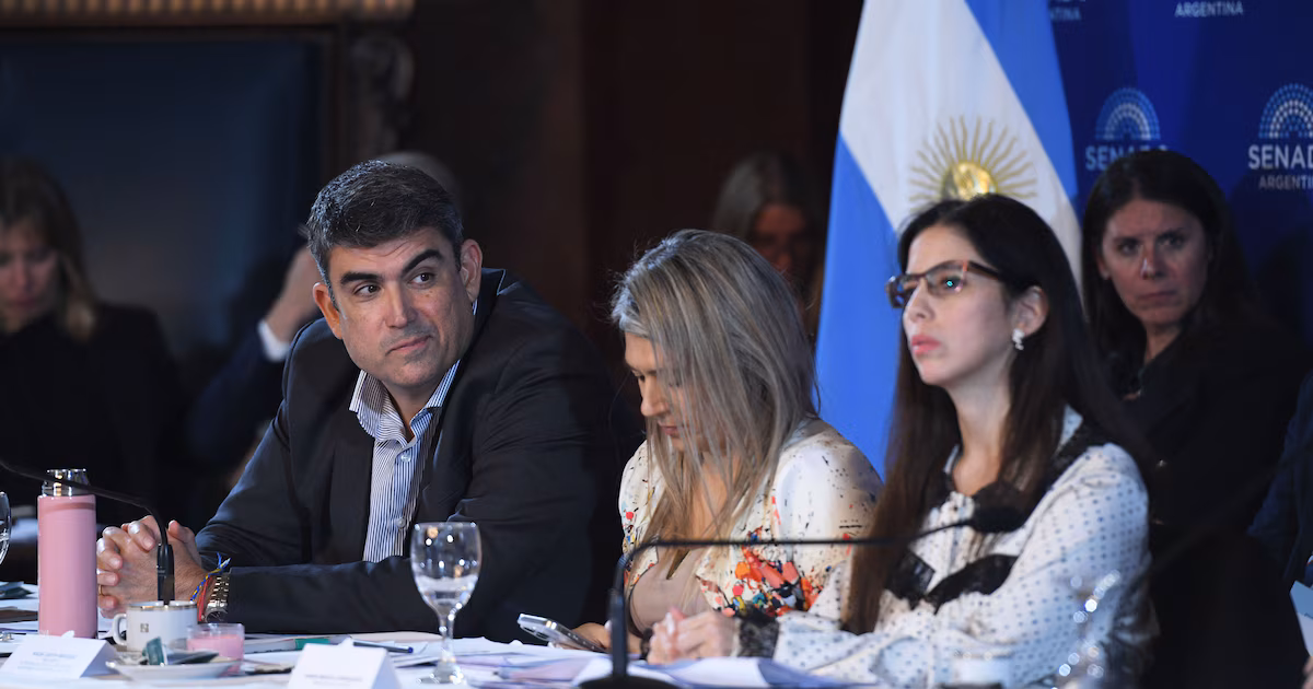 En plena puja con los aliados, el Gobierno busca acelerar un acuerdo en el Senado para cambiar la ley de salud mental