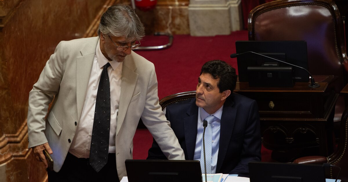 Magistratura: Rejal vuelve con los K en el Senado y complica a libertarios en una eventual puja por butacas