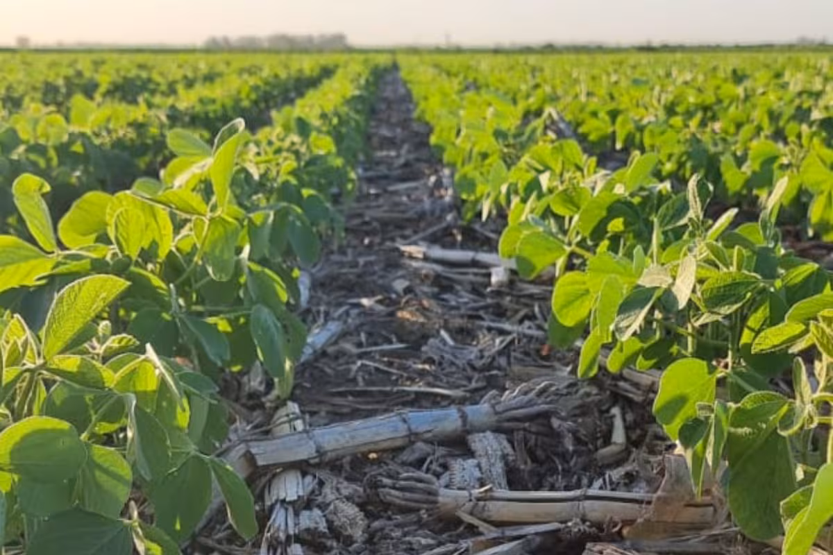 Una alianza busca medir el impacto ambiental de la producción agropecuaria y facilitar el acceso a nuevos mercados