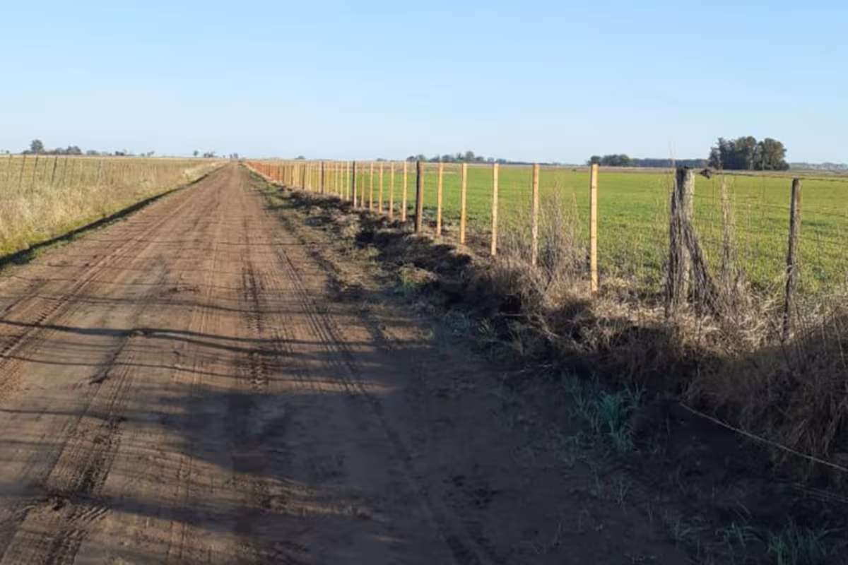 Introducido por un escocés y discutido en sus comienzos, el alambrado marcó un antes y un después en el campo argentino