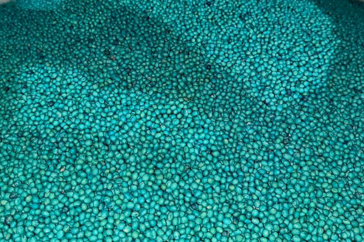 Ley de semillas: la industria dijo que amplió una propuesta para exceptuar del pago por el uso propio a más productores