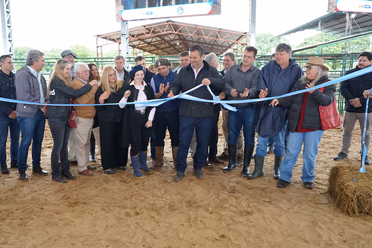 Con 26 cabañas y más de 145 reproductores, se inauguró la Nacional Primavera Braford en Chaco