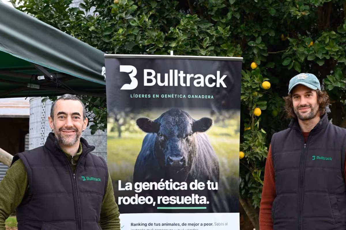 Invirtieron US$5500 y en seis meses pasaron a facturar US$115.000 con un ranking de toros