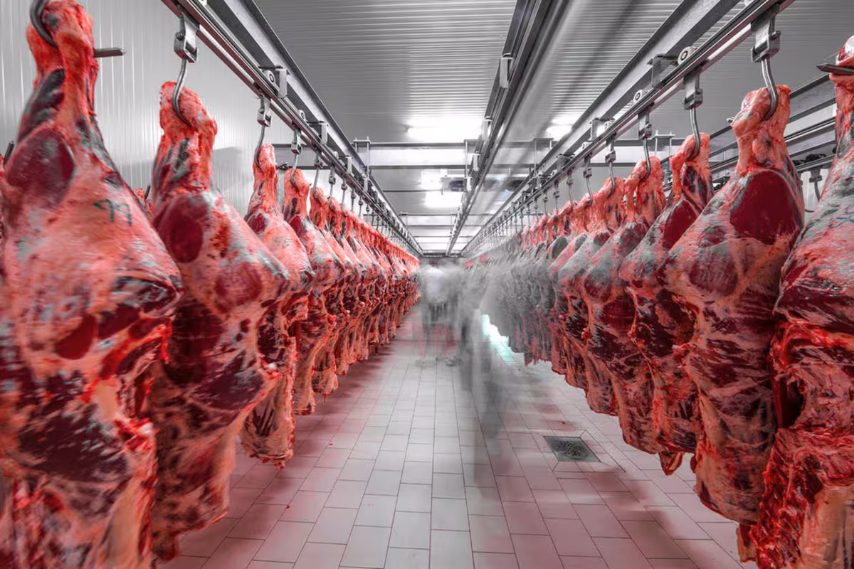 US$3791 millones: vuelan las exportaciones de carne vacuna y van rumbo a otro récord