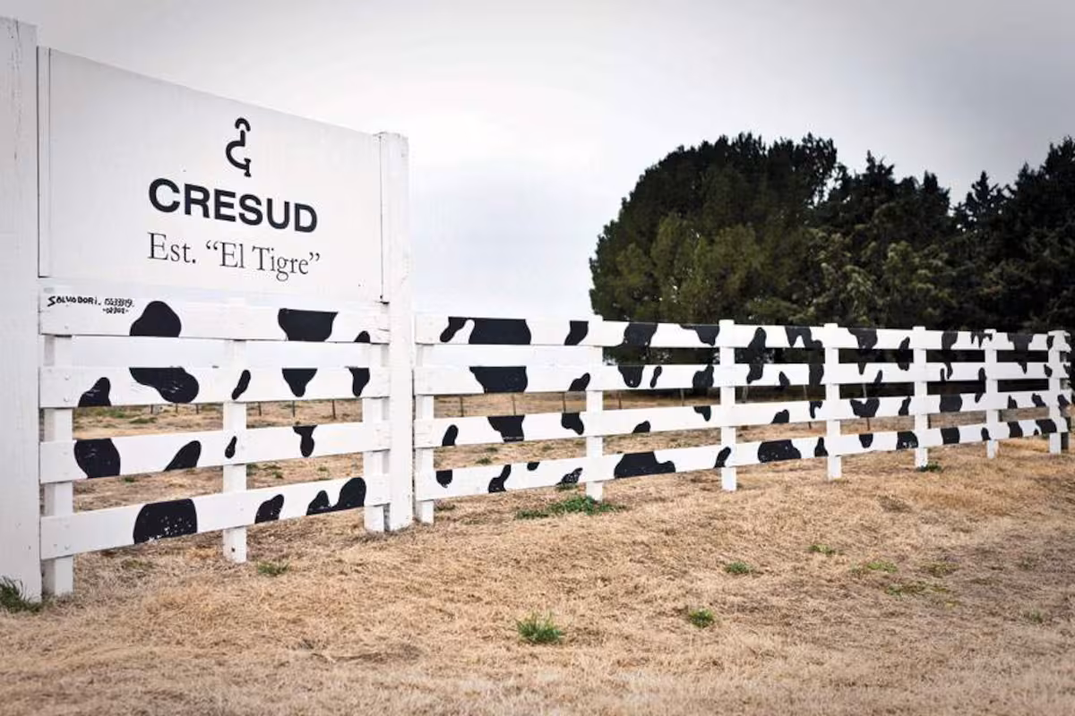 El gigante Cresud produjo más y mejoró ingresos, pero el negocio agropecuario tuvo una pérdida operativa de $15.441 millones