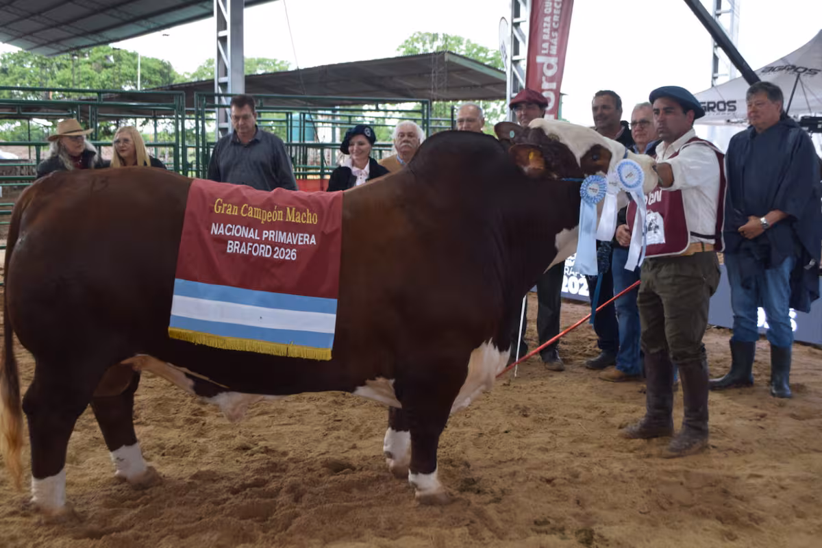 Braford consagró a los grandes campeones de la Nacional Primavera