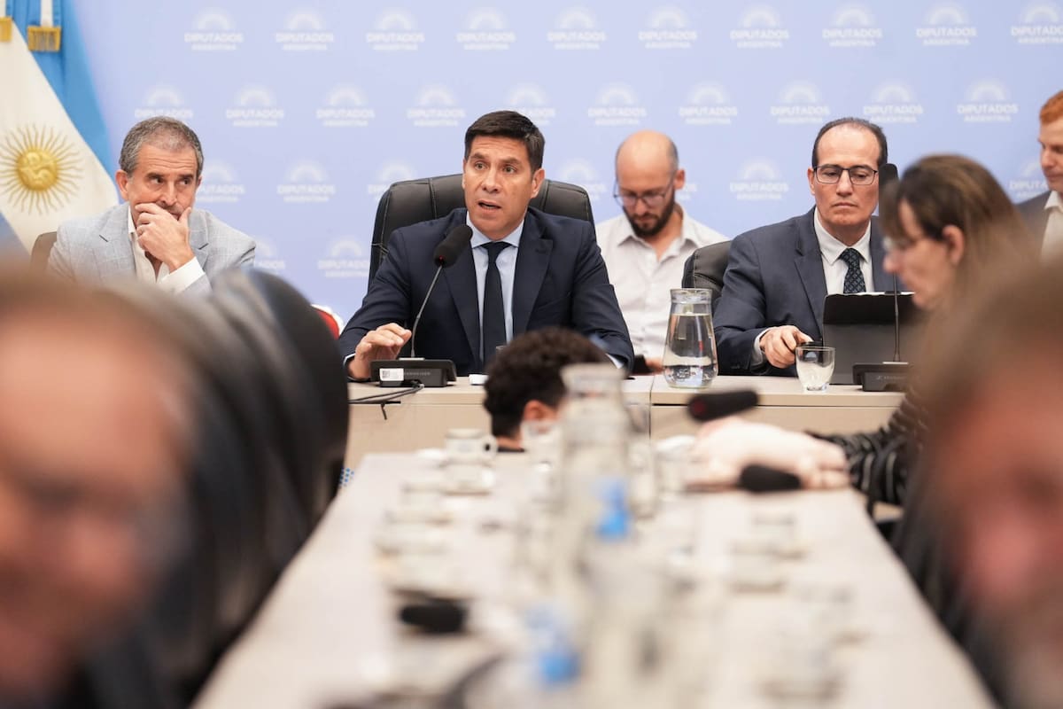 Biocombustibles. El oficialismo en Diputados no logra cerrar un acuerdo por diferencias con aliados y opositores