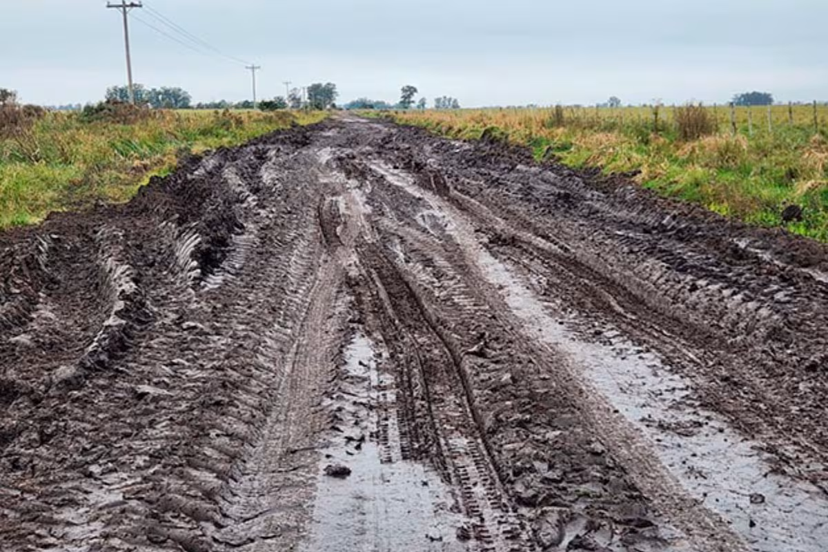 “No pedimos favores”: reclaman saber qué pasó con millonarios fondos para los caminos rurales