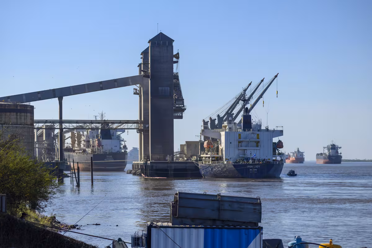 Por los embarques de maíz: en septiembre creció un 17% la liquidación de divisas por exportaciones de granos y oleaginosas